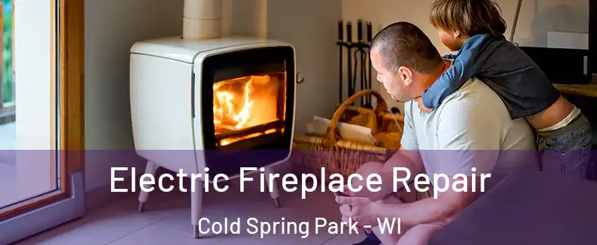 Electric Fireplace Repair Cold Spring Park - WI