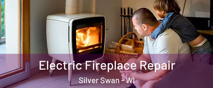 Electric Fireplace Repair Silver Swan - WI