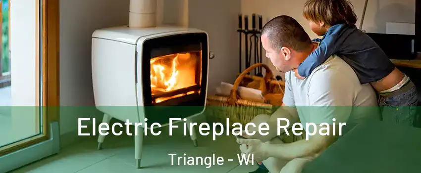 Electric Fireplace Repair Triangle - WI