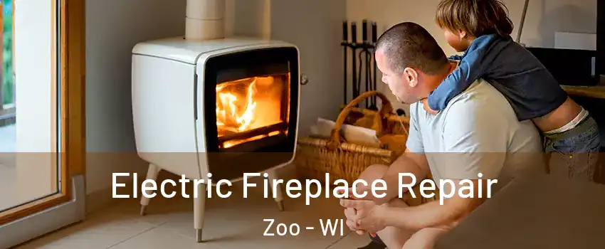 Electric Fireplace Repair Zoo - WI