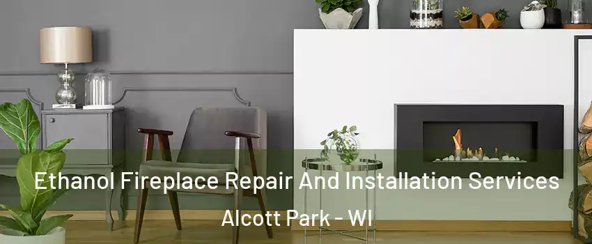 Ethanol Fireplace Repair And Installation Services Alcott Park - WI