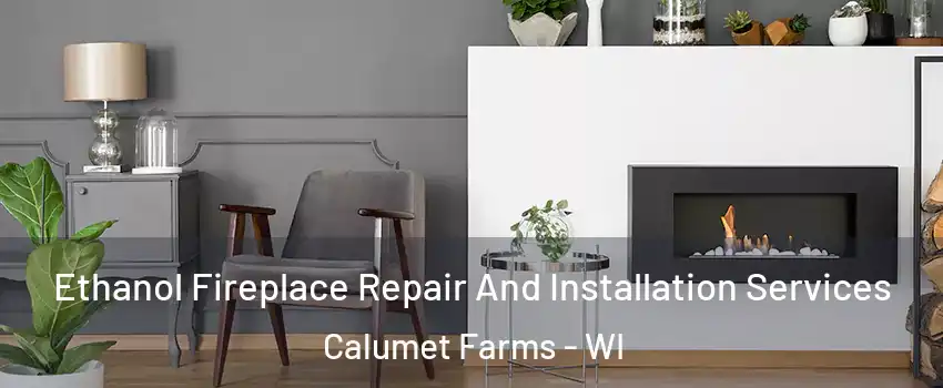 Ethanol Fireplace Repair And Installation Services Calumet Farms - WI