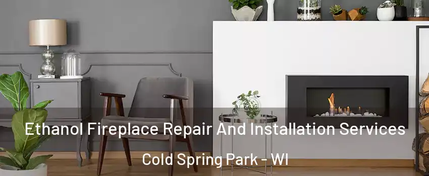 Ethanol Fireplace Repair And Installation Services Cold Spring Park - WI