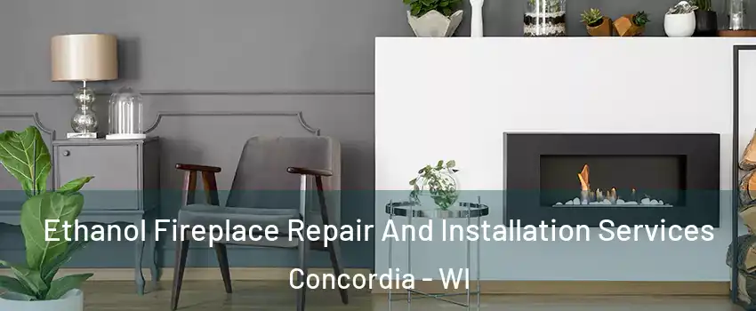 Ethanol Fireplace Repair And Installation Services Concordia - WI