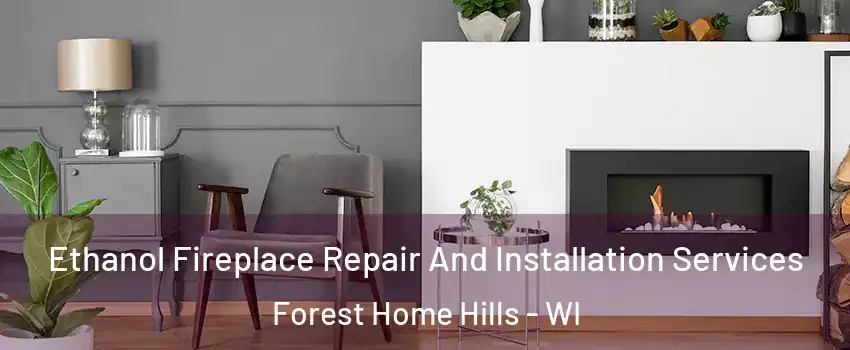 Ethanol Fireplace Repair And Installation Services Forest Home Hills - WI