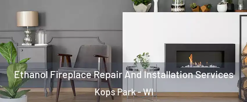 Ethanol Fireplace Repair And Installation Services Kops Park - WI