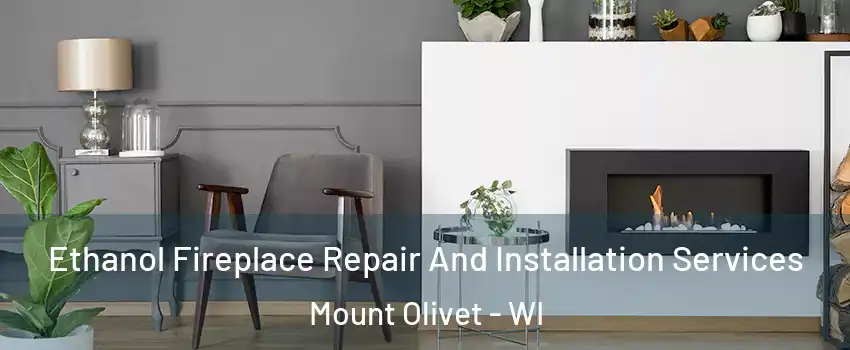 Ethanol Fireplace Repair And Installation Services Mount Olivet - WI