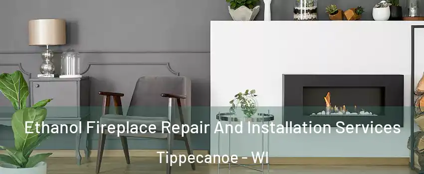 Ethanol Fireplace Repair And Installation Services Tippecanoe - WI