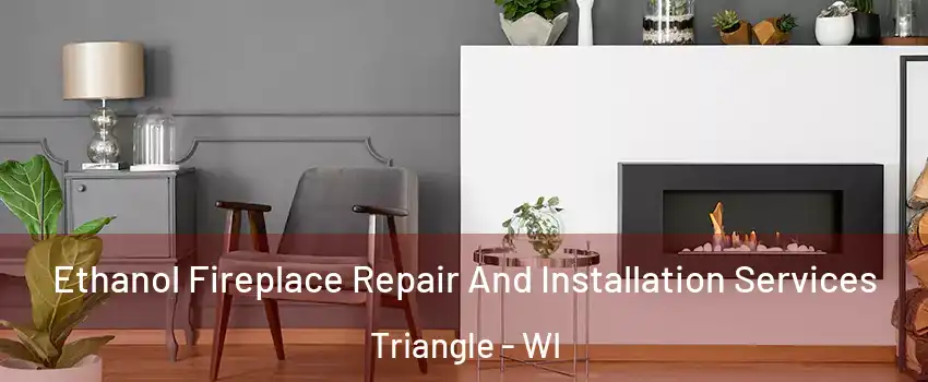 Ethanol Fireplace Repair And Installation Services Triangle - WI