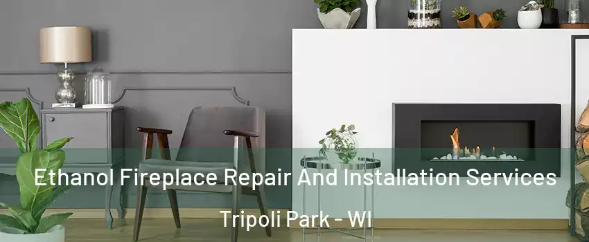 Ethanol Fireplace Repair And Installation Services Tripoli Park - WI