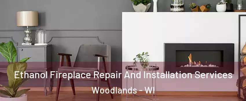 Ethanol Fireplace Repair And Installation Services Woodlands - WI