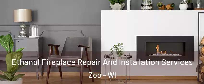 Ethanol Fireplace Repair And Installation Services Zoo - WI