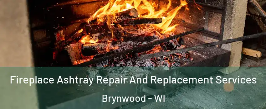 Fireplace Ashtray Repair And Replacement Services Brynwood - WI