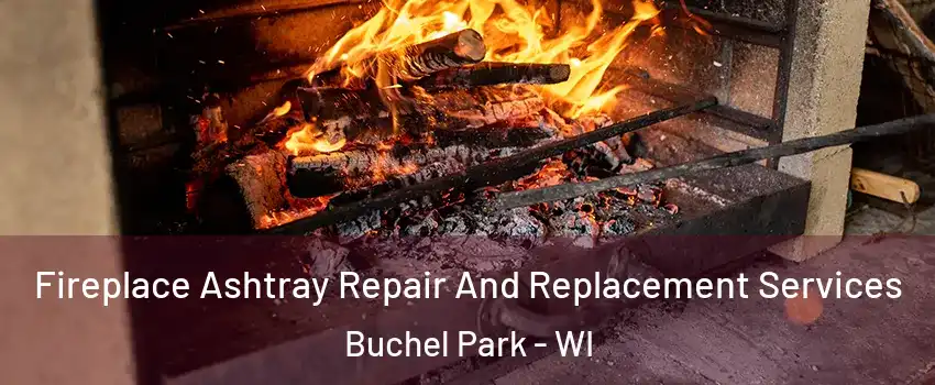 Fireplace Ashtray Repair And Replacement Services Buchel Park - WI