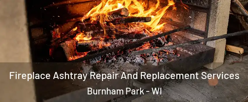 Fireplace Ashtray Repair And Replacement Services Burnham Park - WI