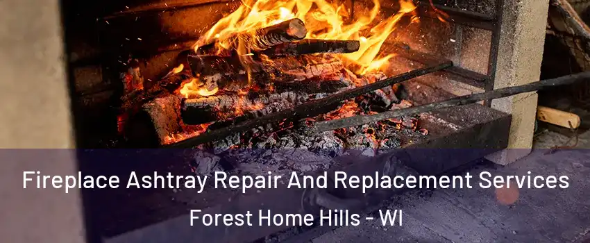 Fireplace Ashtray Repair And Replacement Services Forest Home Hills - WI