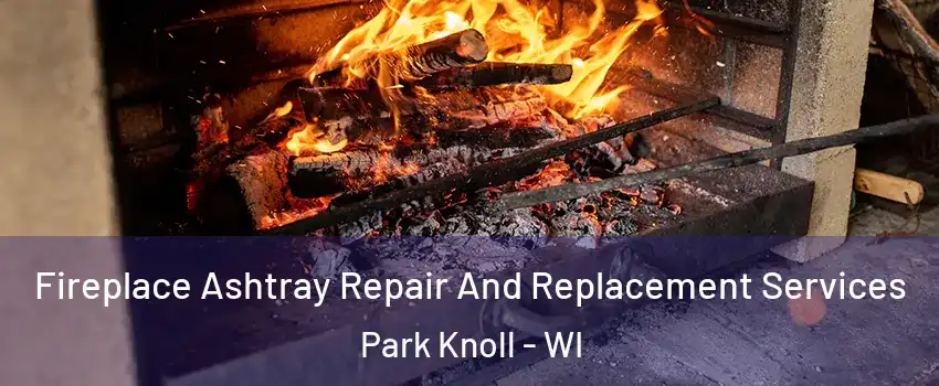 Fireplace Ashtray Repair And Replacement Services Park Knoll - WI