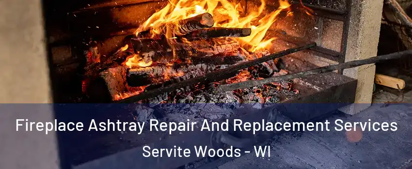 Fireplace Ashtray Repair And Replacement Services Servite Woods - WI