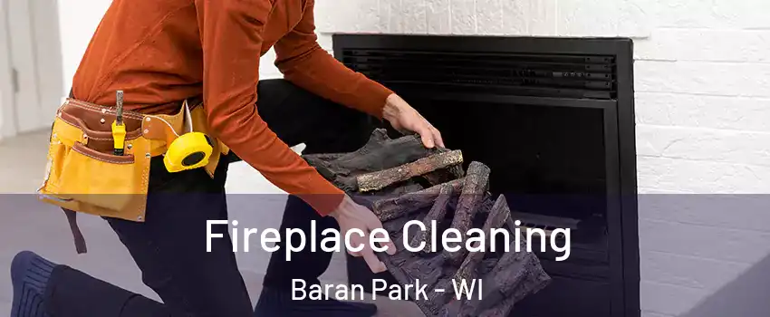 Fireplace Cleaning Baran Park - WI