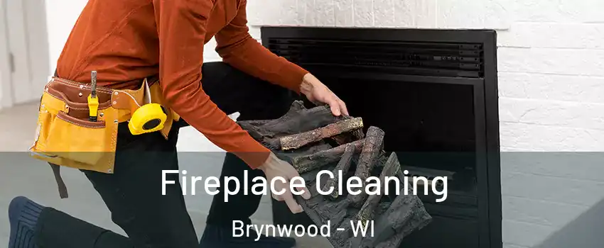 Fireplace Cleaning Brynwood - WI