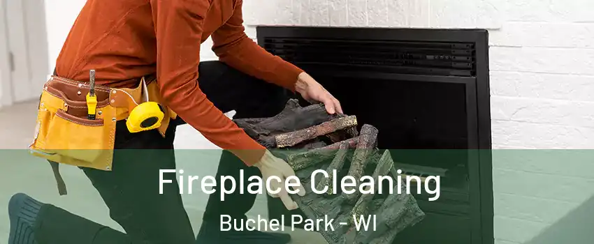 Fireplace Cleaning Buchel Park - WI