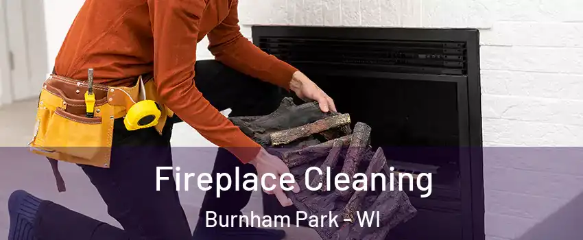 Fireplace Cleaning Burnham Park - WI