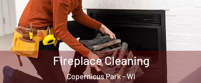 Fireplace Cleaning Copernicus Park - WI