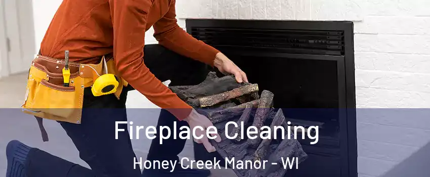 Fireplace Cleaning Honey Creek Manor - WI