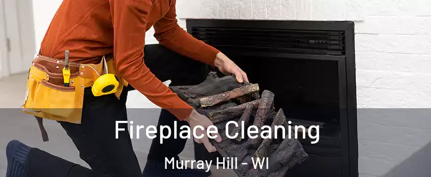 Fireplace Cleaning Murray Hill - WI