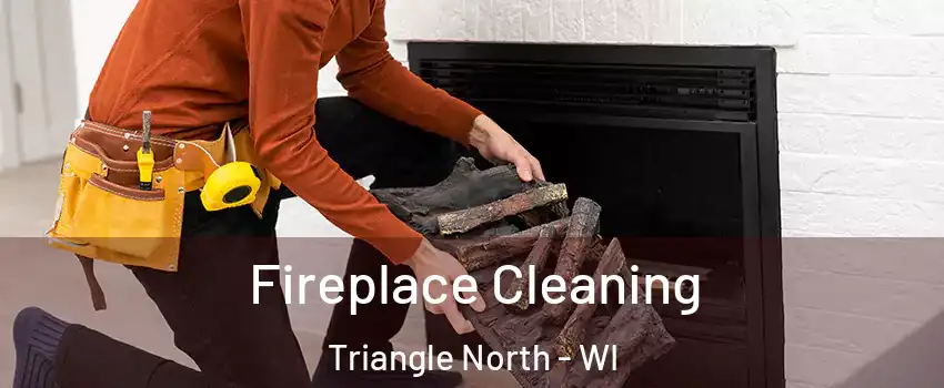 Fireplace Cleaning Triangle North - WI