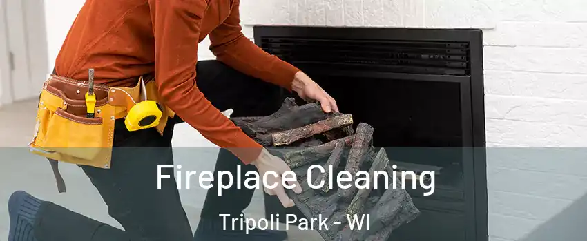 Fireplace Cleaning Tripoli Park - WI