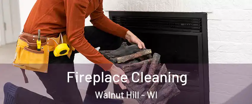 Fireplace Cleaning Walnut Hill - WI