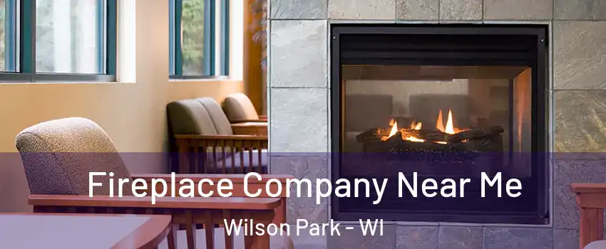 Fireplace Company Near Me Wilson Park - WI