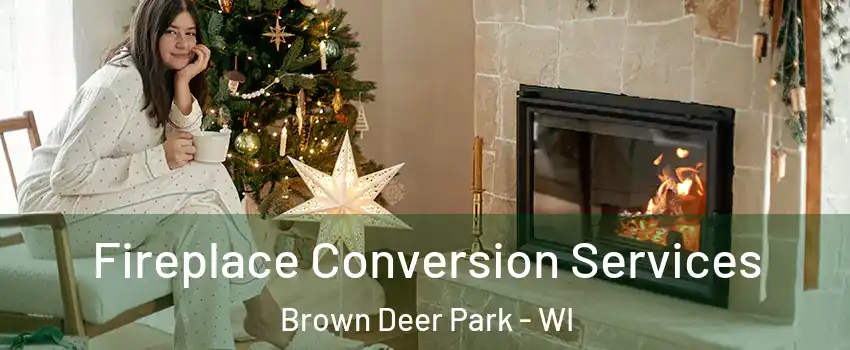 Fireplace Conversion Services Brown Deer Park - WI