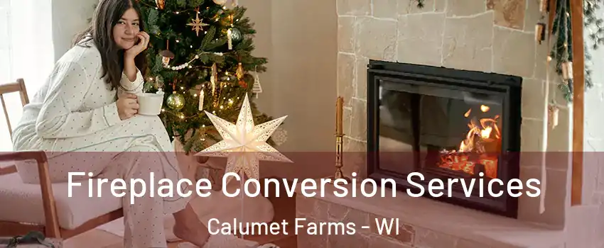 Fireplace Conversion Services Calumet Farms - WI