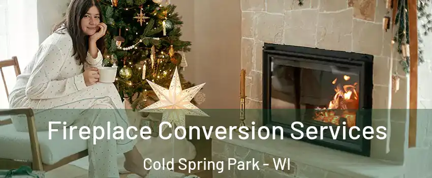 Fireplace Conversion Services Cold Spring Park - WI