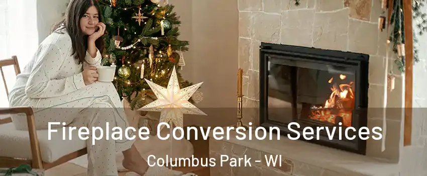 Fireplace Conversion Services Columbus Park - WI