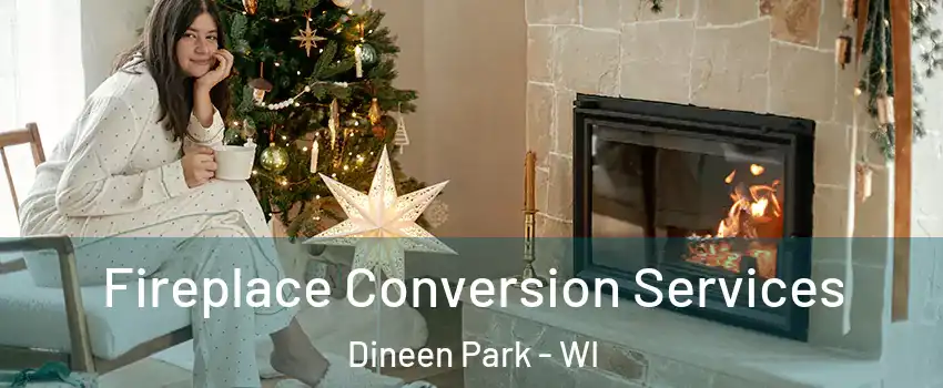 Fireplace Conversion Services Dineen Park - WI