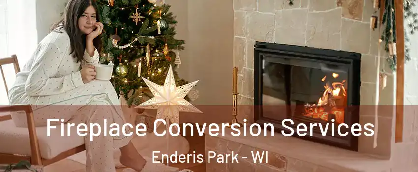 Fireplace Conversion Services Enderis Park - WI