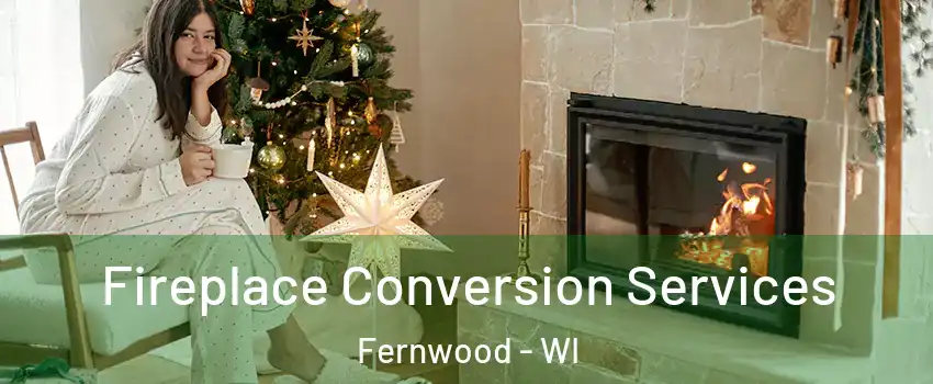 Fireplace Conversion Services Fernwood - WI