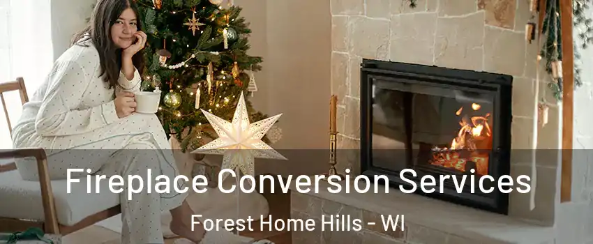 Fireplace Conversion Services Forest Home Hills - WI