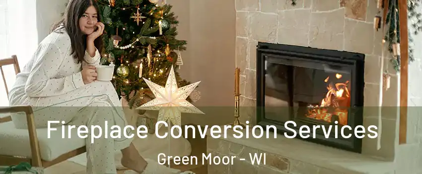 Fireplace Conversion Services Green Moor - WI