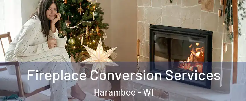 Fireplace Conversion Services Harambee - WI