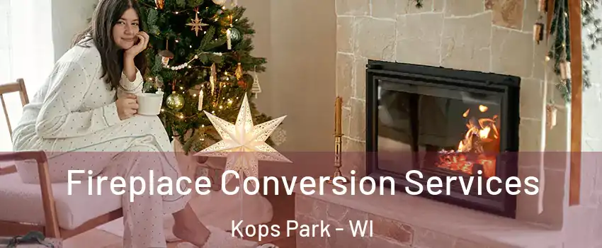 Fireplace Conversion Services Kops Park - WI