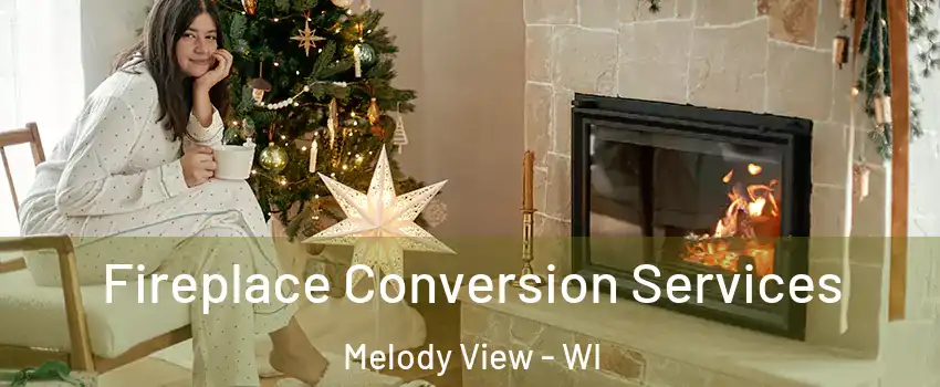 Fireplace Conversion Services Melody View - WI