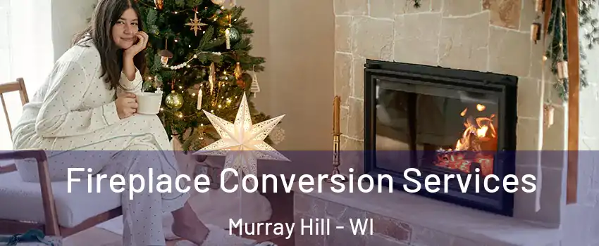 Fireplace Conversion Services Murray Hill - WI