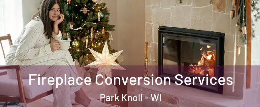 Fireplace Conversion Services Park Knoll - WI