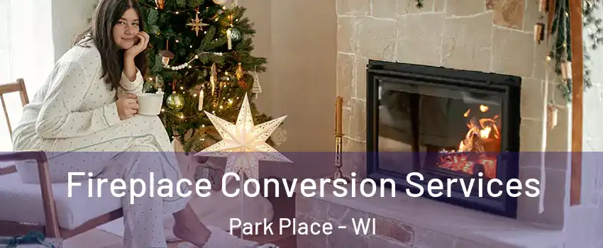 Fireplace Conversion Services Park Place - WI