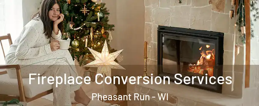 Fireplace Conversion Services Pheasant Run - WI