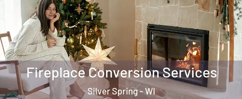 Fireplace Conversion Services Silver Spring - WI